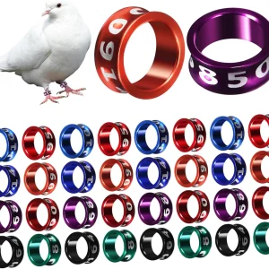 50 Pcs Bandas de distinción de Aves de Corral