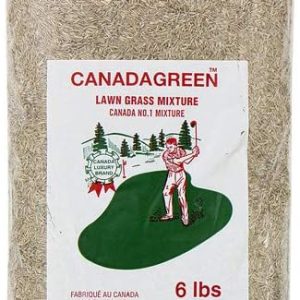 6lbs. Canadá semillas de césped verde