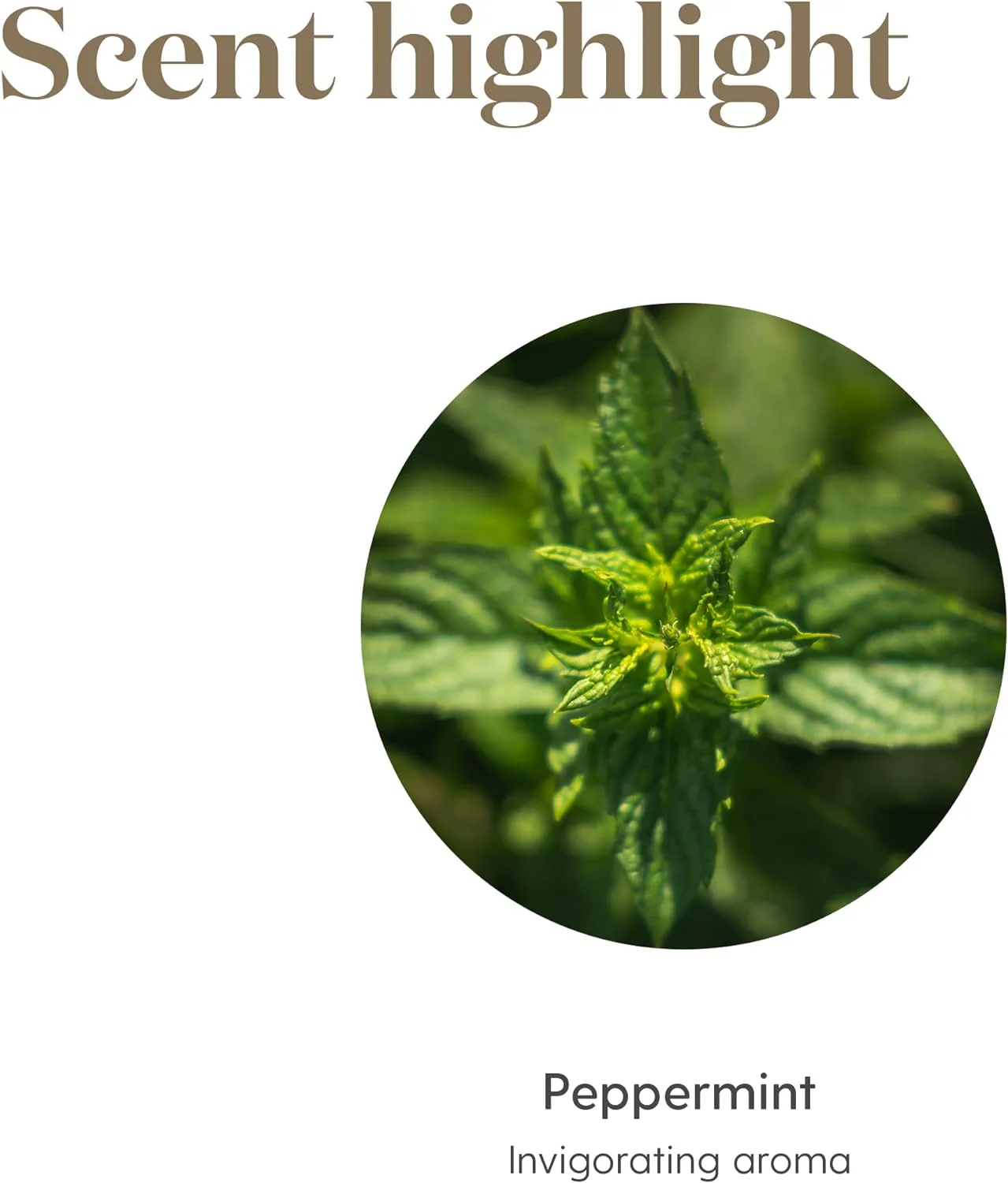 Aceite esencial de menta Young Living Essential Oils, 0.52 fl. oz - Imagen 4