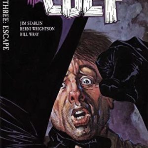 Batman The Cult #3 - Comic Book (ingles)