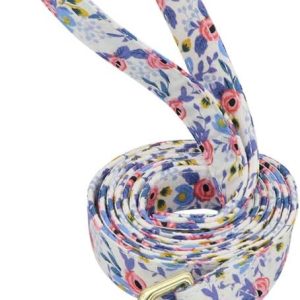 Beirui AliceBlue - Correa para perros pequeños y medianos