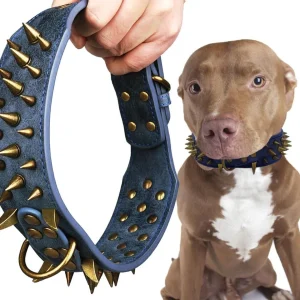 Collar de perro con tachuelas con púas grandes y afiladas / Small