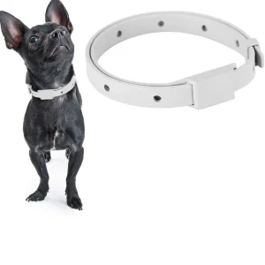 Collar externos de control de pulgas contra pulgas parásitas no tóxicos y seguros