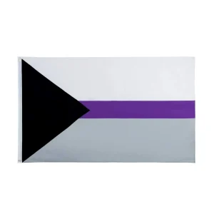 Flaglink Bandera del Orgullo Demisexual 3x5 pies - LGBTQIA