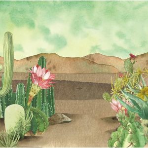 Fondo de fotografía de 7 x 5 pies con diseño floral de cactus y acuarela