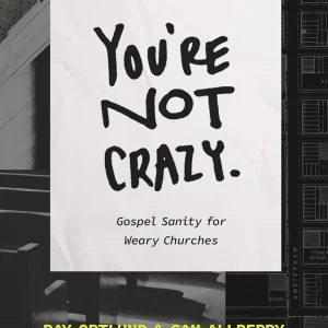 You're Not Crazy: Gospel Sanity for Weary Churches (English Edition)